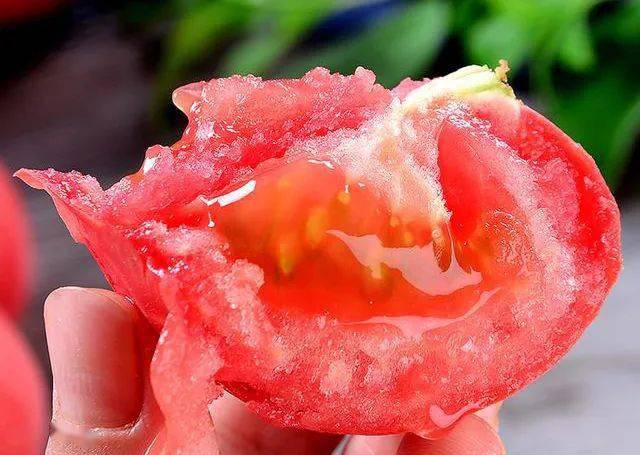 Provence tomato cultivation technology