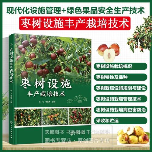 冬瓜的种植技术