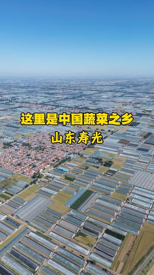 寿光果蔬行情手机版