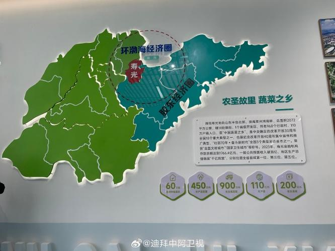 寿光果蔬行情手机版