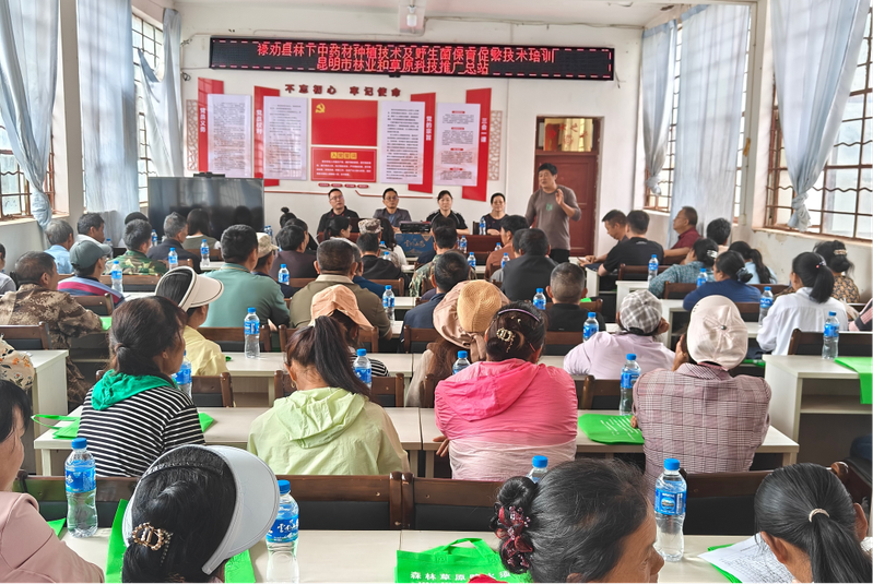 中药黄精的种植技术