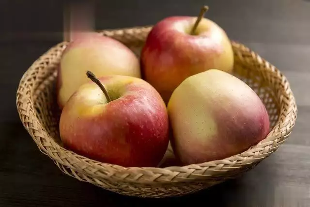 北方种植南方水果