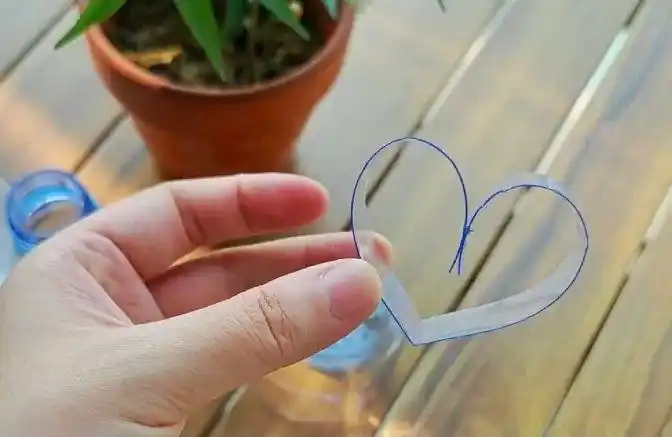 火龙果籽种植方法会长果吗