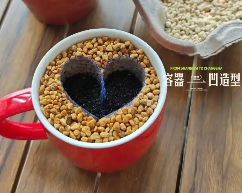 火龙果籽种植方法会长果吗