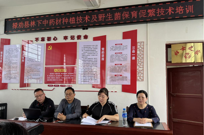 中药黄精的种植技术