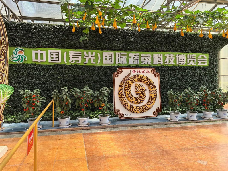 寿光果蔬行情手机版