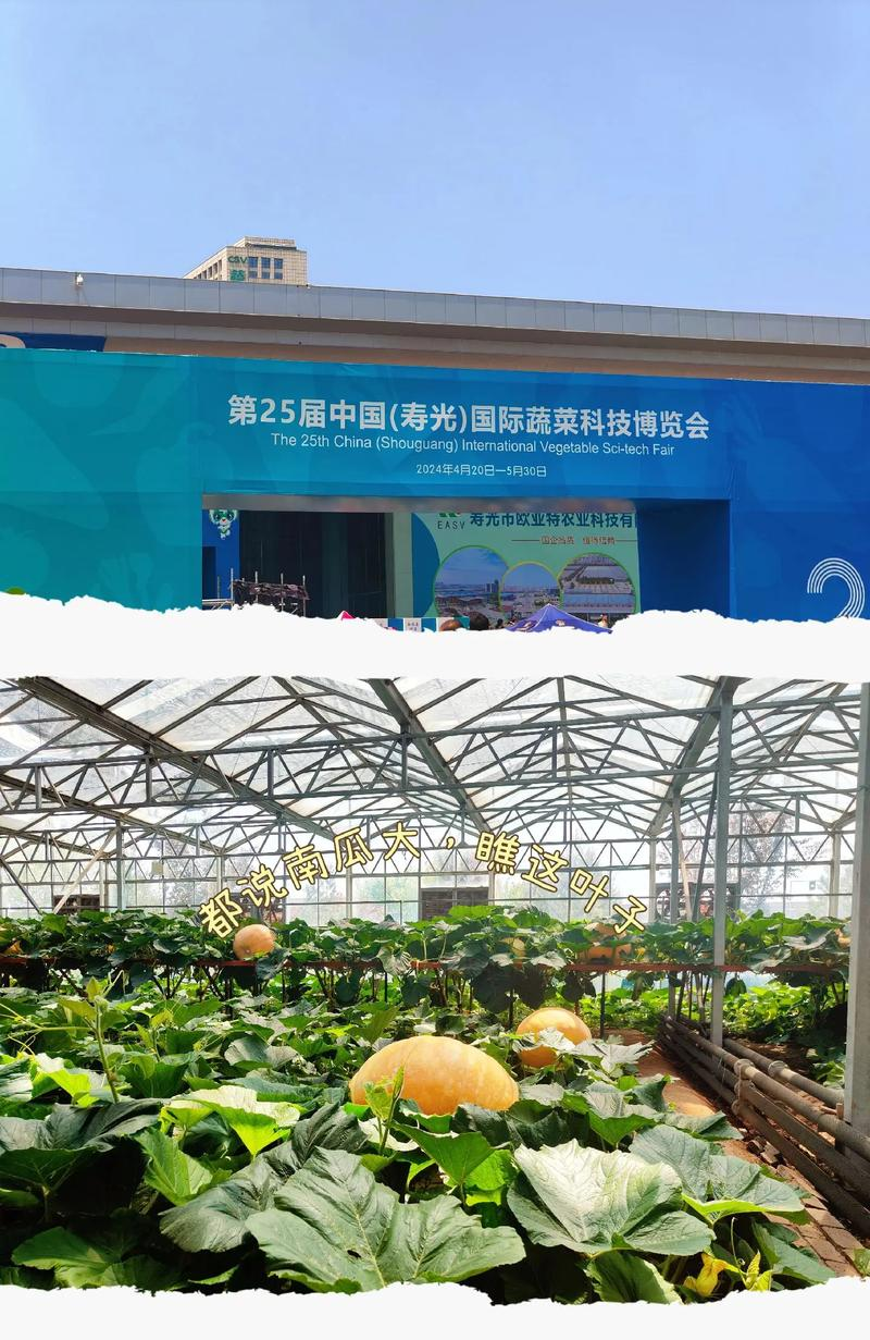 寿光果蔬行情手机版