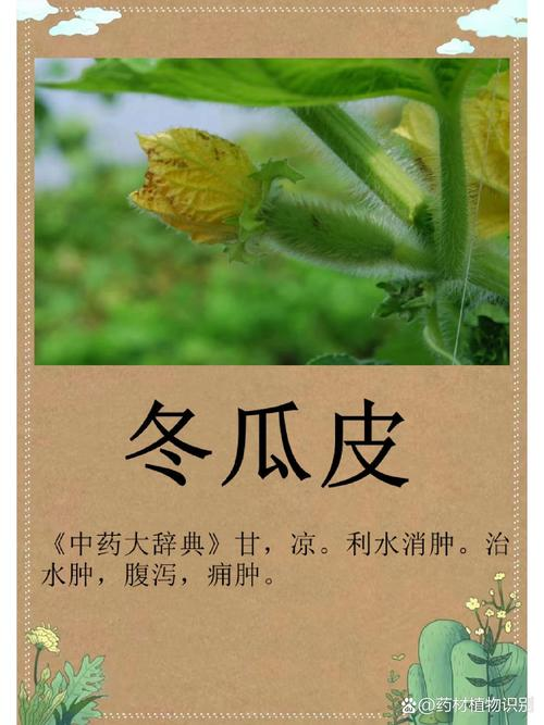 Cultivation techniques