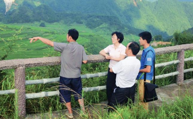 云南知识青年上山下乡运动