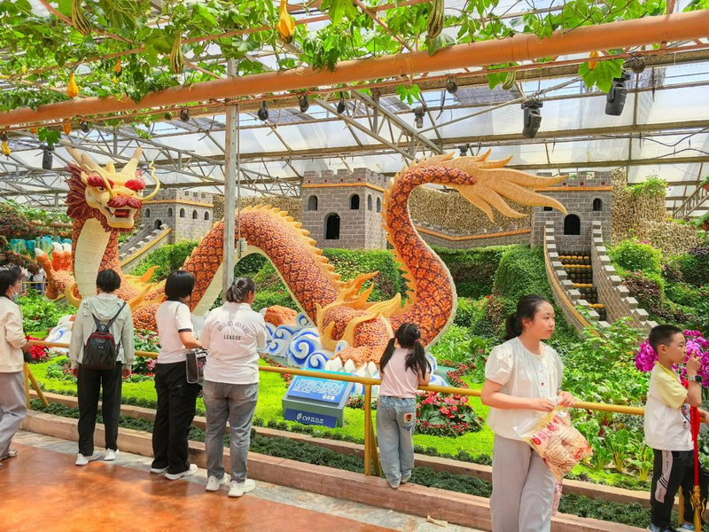 寿光果蔬行情手机版