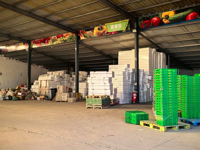 寿光果蔬行情手机版