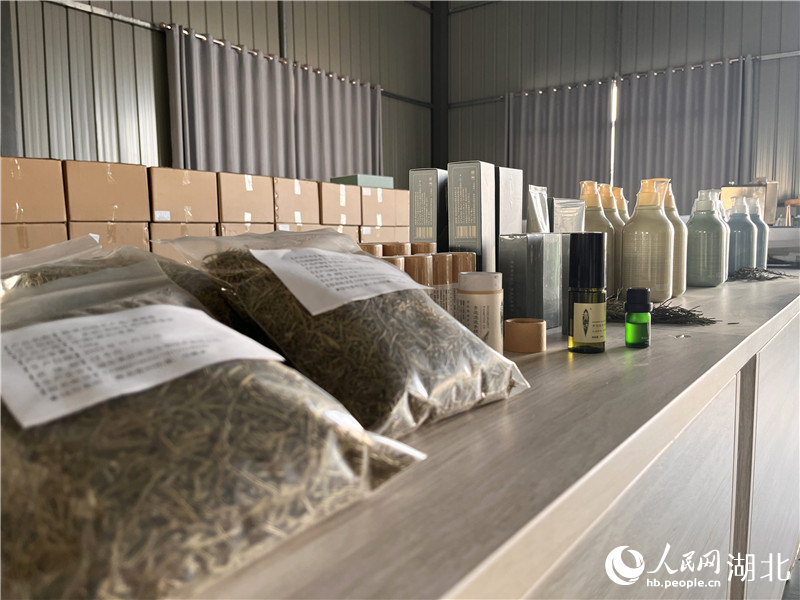 迷迭香种植方法