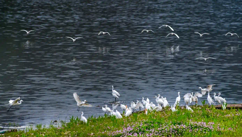 淳安千岛湖房价