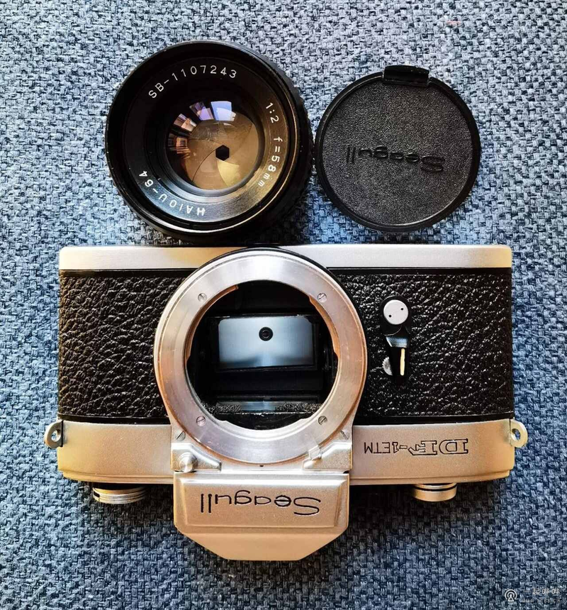 Seagull df-1 collection price