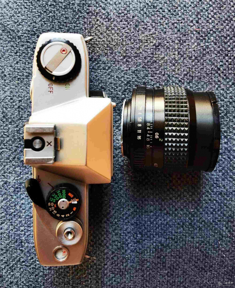 Seagull df-1 collection price