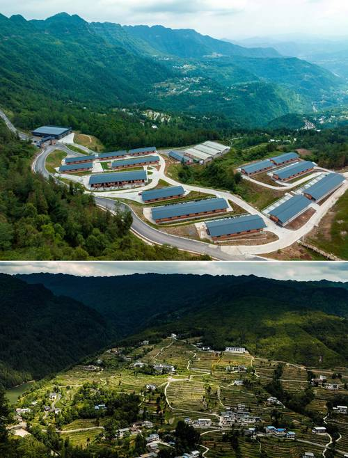 中药黄精的种植技术