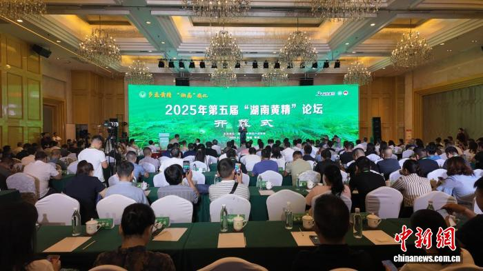 中药黄精的种植技术