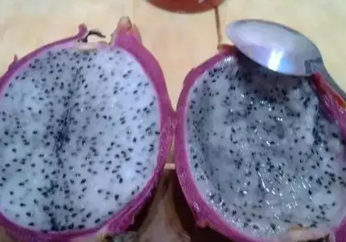 火龙果籽种植方法会长果吗