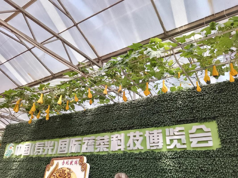 寿光果蔬行情手机版