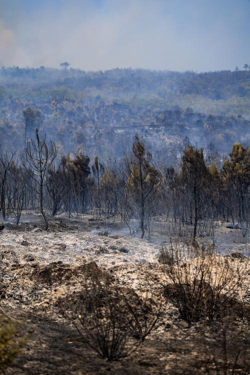 干旱成因危害措施