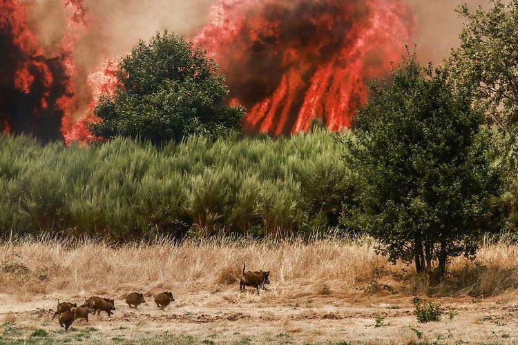 干旱成因危害措施