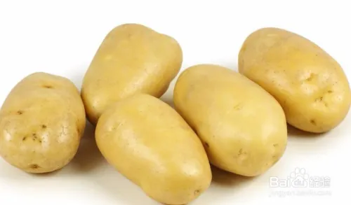 夏季马铃薯的种植技术