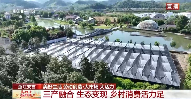 铁皮石斛盆栽的种植方法