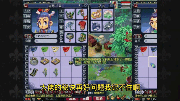 摇钱树苗种植方法