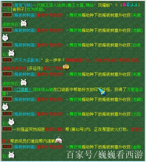 摇钱树苗种植方法