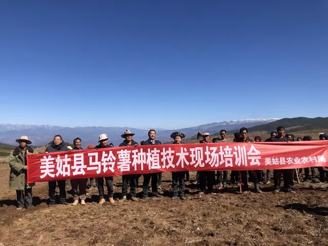 土豆的种植技术视频