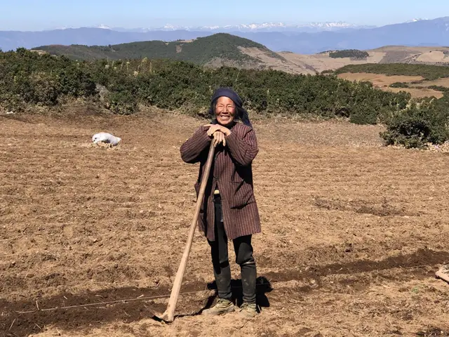 土豆的种植技术视频