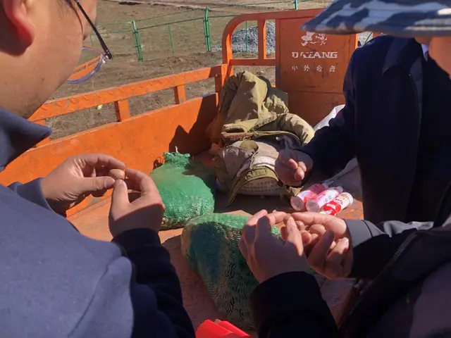 土豆的种植技术视频