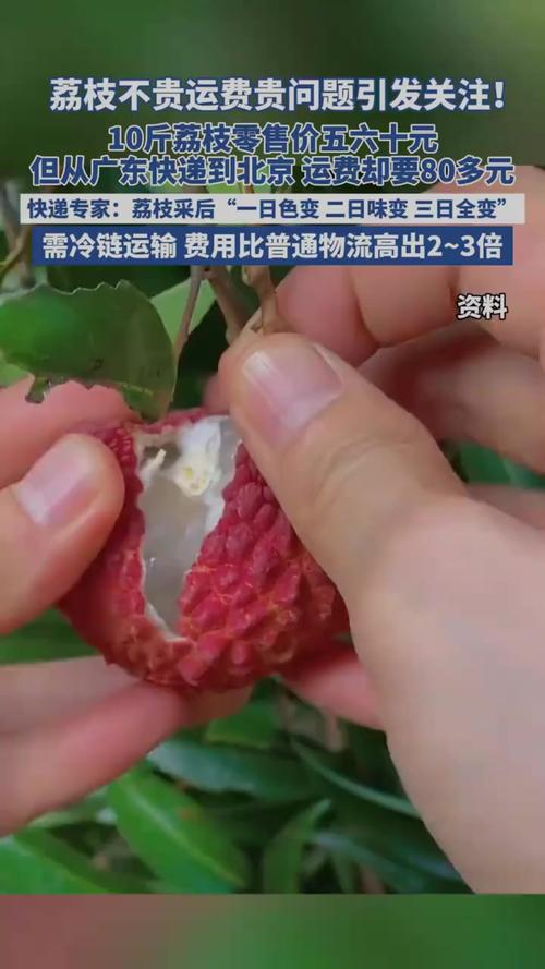 哪家快递运费最便宜