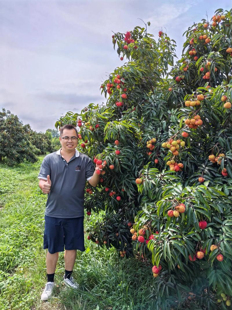 哪家快递运费最便宜