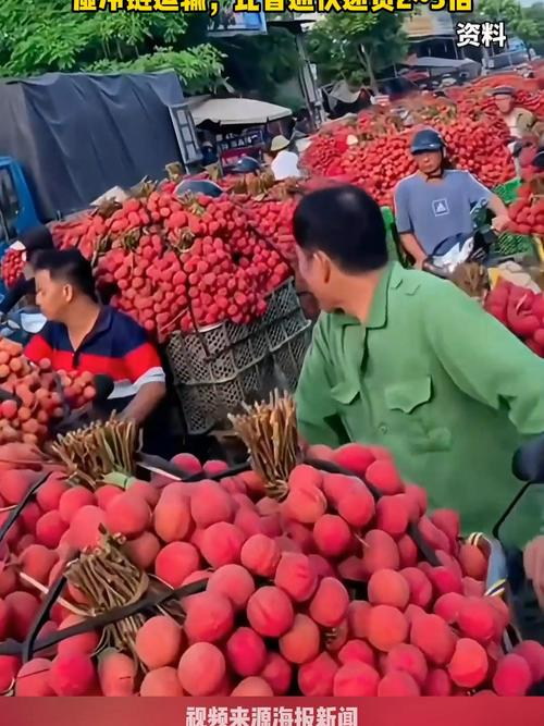 哪家快递运费最便宜