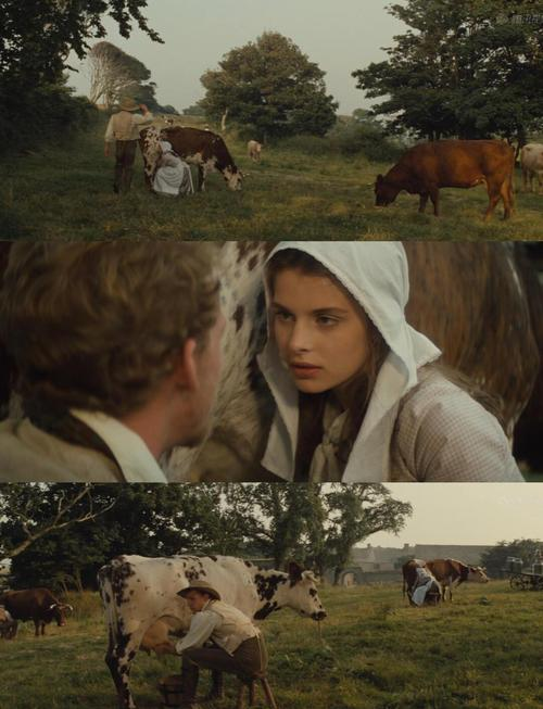 苔丝悲剧成因开题报告