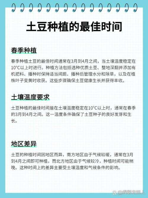 夏季马铃薯的种植技术
