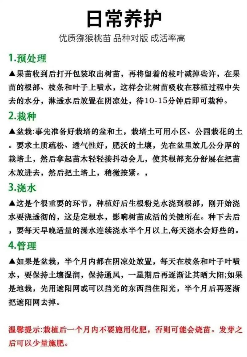 农广天地枇杷种植技术