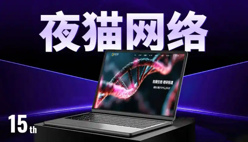 2026中国网站排名