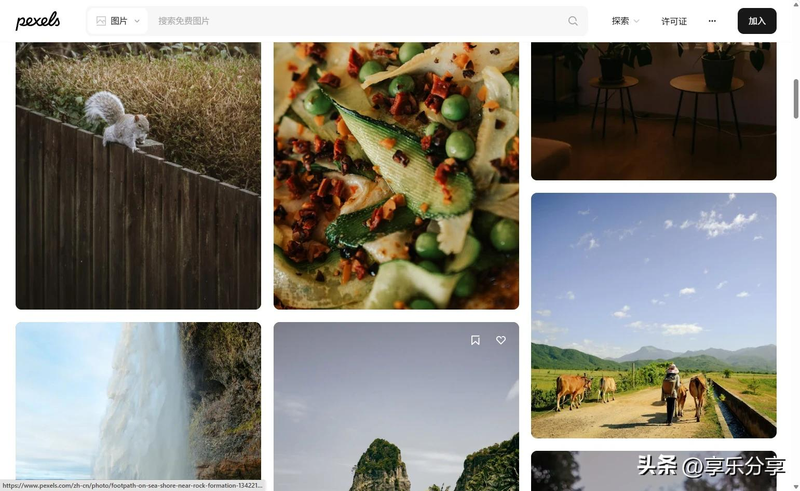 视频分享网站排名