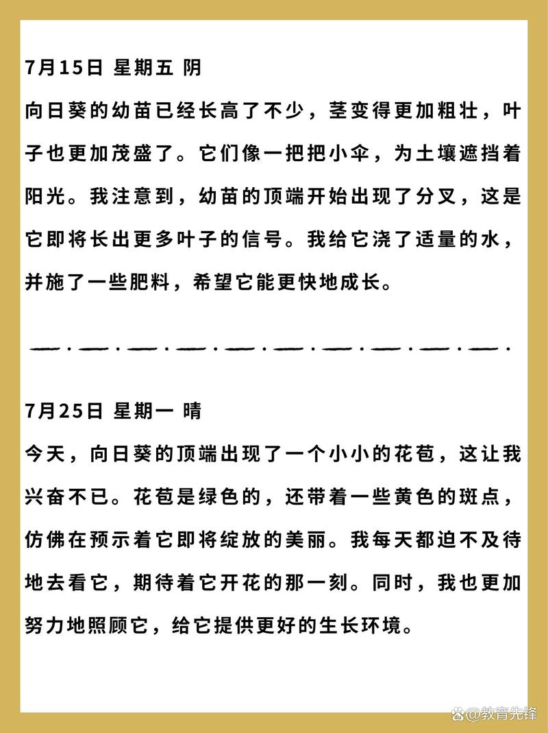 向日葵种子种植方法