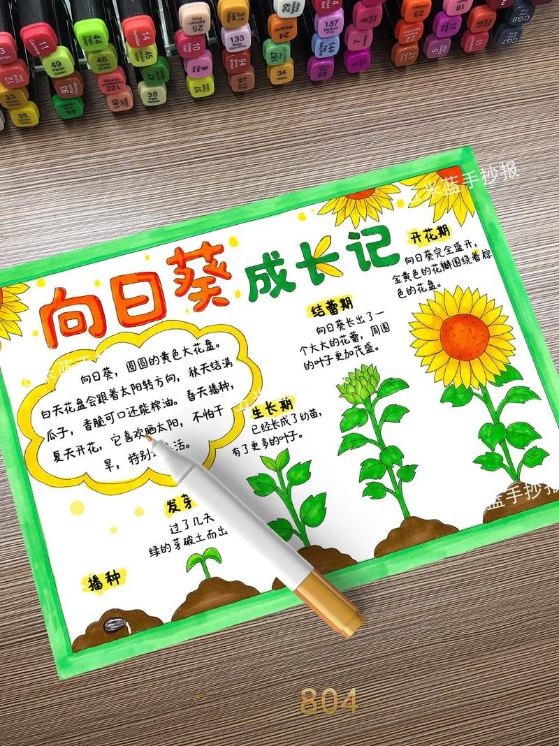 向日葵种子种植方法