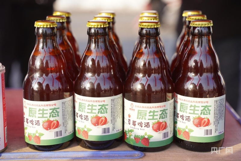 大棚草莓种植技术视频