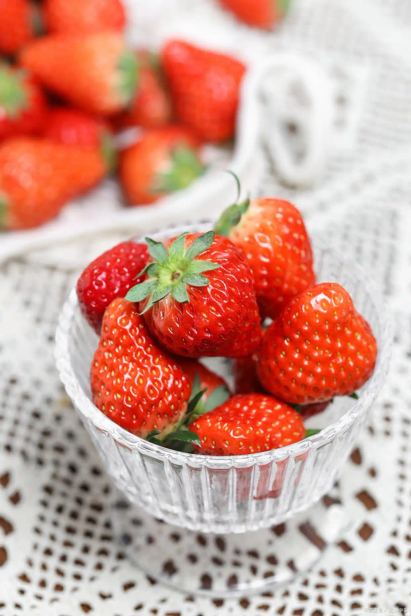 适合大棚种植的水果