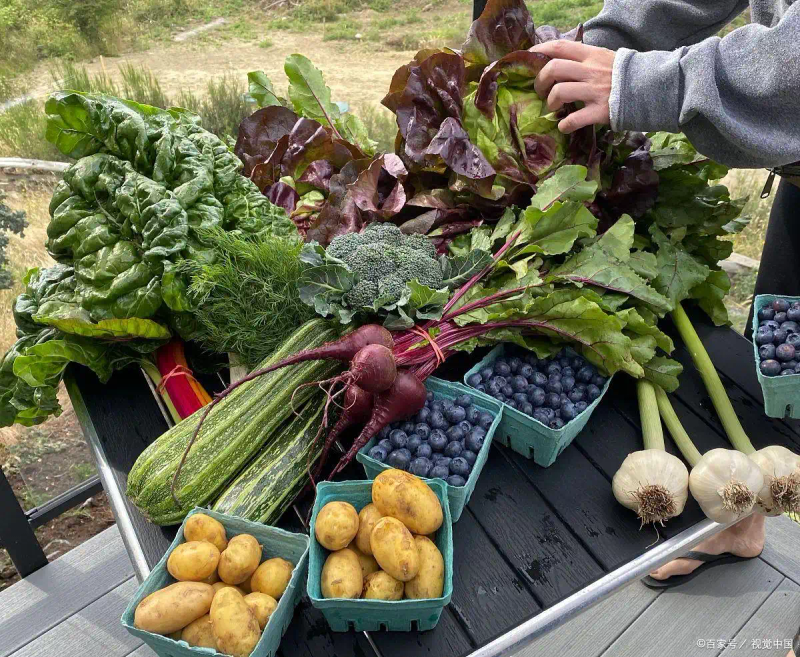 适合大棚种植的水果