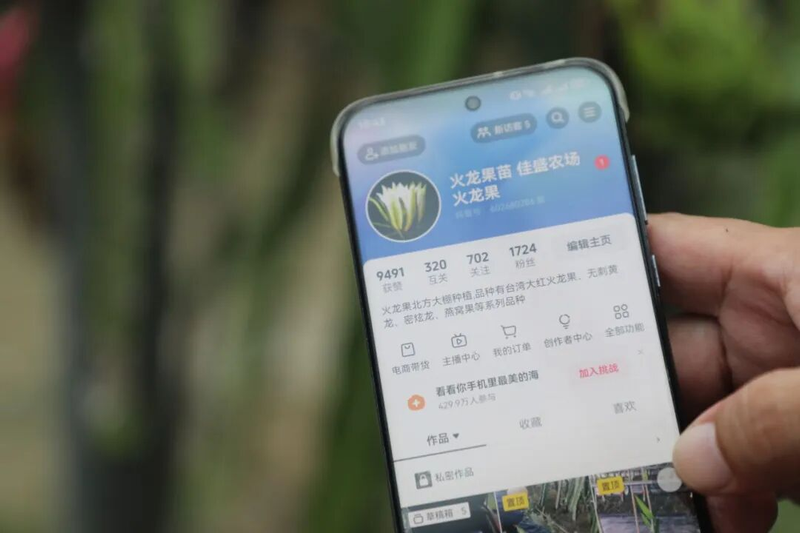 适合大棚种植的水果