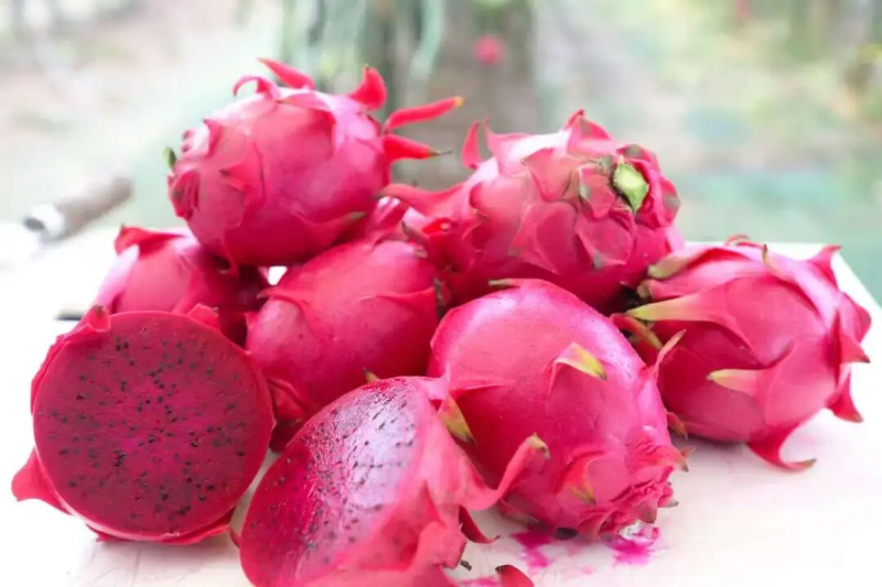 适合大棚种植的水果