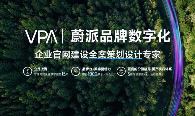 上海网站排名公司