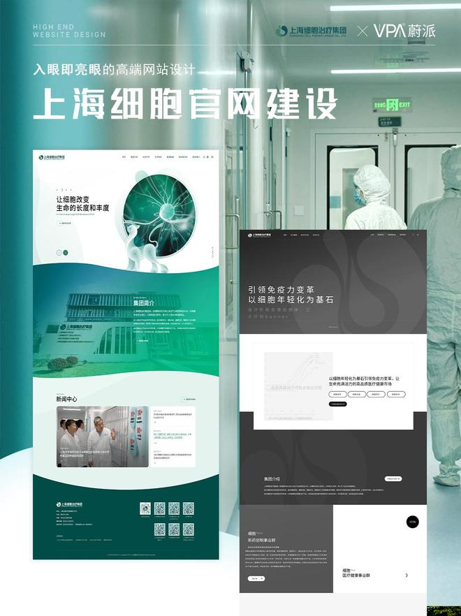 上海网站排名公司