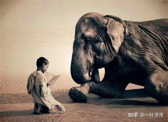 人性假设理论概括为